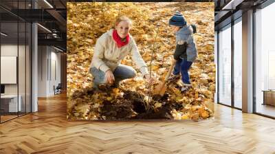 woman with son planting tree in autumn Wall mural