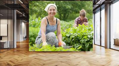 women working in vegetable garden Wall mural