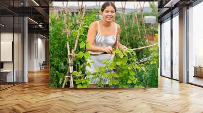 Young woman smart farmer harvest vegetables in small agricultural vegetable farm. Wall mural