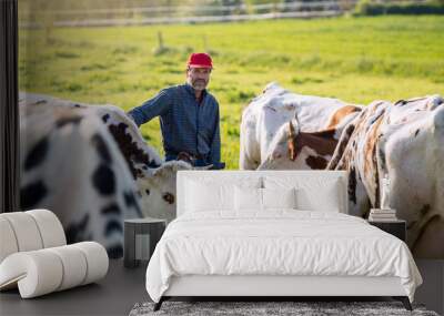 Farmer in his field caring for his herd of cows Wall mural