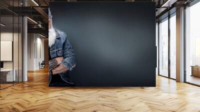 studio portrait of a senior hipster with a long white beard Wall mural