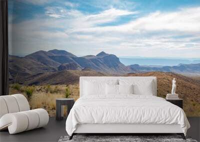 Mountain and desert grass field view at Big Bend National Park Texas Wall mural