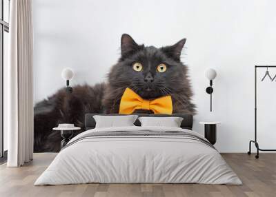 A black fluffy cat with an orange bow lies on a white background Wall mural