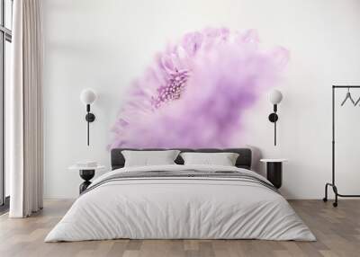 Soft focus pink/purple chrysanthemum Wall mural