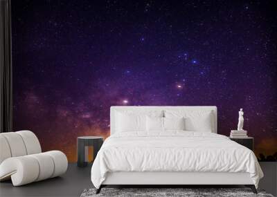 Milky Way rising over Alabama night sky Wall mural