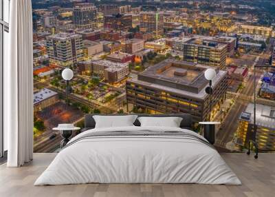 Aerial View of Downtown Boise, Idaho in Summer Wall mural