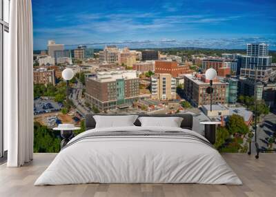 aerial view of greenville, south carolina during autumn Wall mural