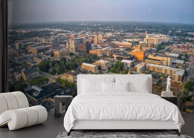 Aerial View of Kalamazoo, Michigan during Summer Twilight Wall mural