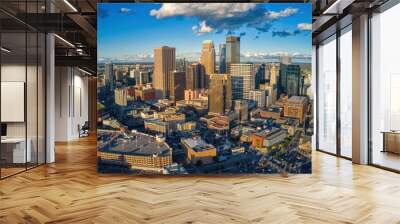 Aerial View of Minneapolis, Minnesota during Summer Wall mural