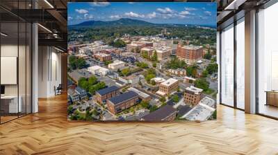 aerial view of the atlanta suburb of marietta, georgia Wall mural