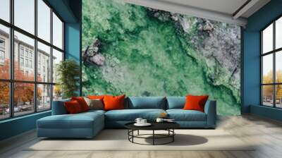 Abstract Green Natural Spring with a Dark Grey Rocky Edge Wall mural