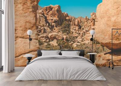 joshua tree Wall mural