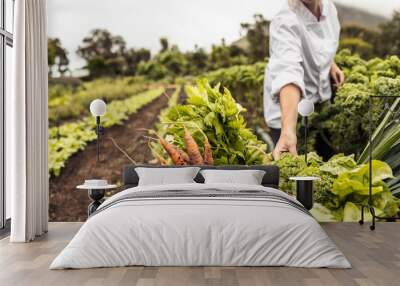 Anonymous chef harvesting fresh vegetables on a farm Wall mural