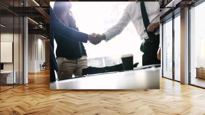 Business men shaking hands with each other after a deal Wall mural