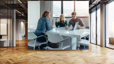 Businessman giving presentation to colleagues at meeting Wall mural