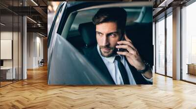 Businessman travelling by taxi and making phone call Wall mural