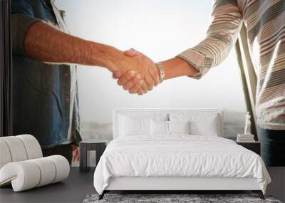 businesspeople shaking hands in office Wall mural