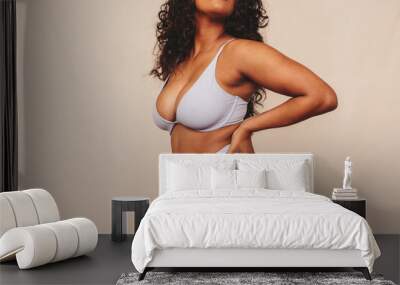 Female body in blue underwear Wall mural