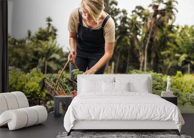 Female gardener picking fresh kale from a vegetable garden Wall mural