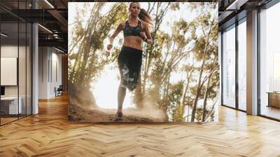 Female runner running on a rocky mountain trail Wall mural