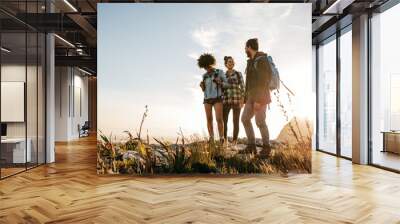 group of people hiking in nature on a summer day Wall mural