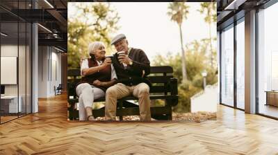 Happy senior couple picnicking in the park Wall mural