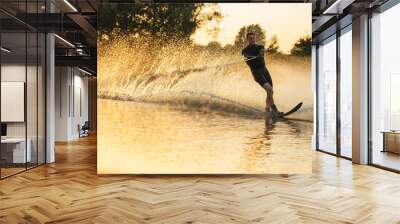 Man riding wakeboard in a lake Wall mural