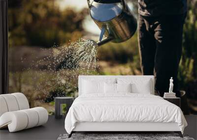 Man waters vegetables with sprinkling can on farm Wall mural