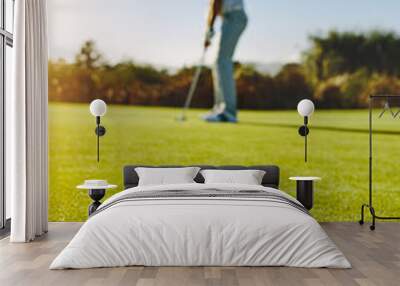 Professional golfer putting ball in hole Wall mural