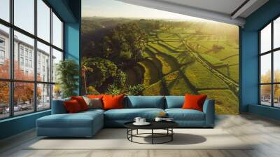 Scenic view of terraced rice fields Wall mural