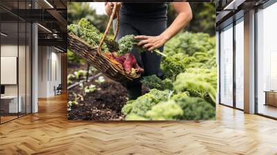 Unrecognizable woman picking fresh kale from a vegetable garden Wall mural