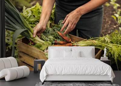 Vegetable farmer arranging freshly picked produce into a crate Wall mural