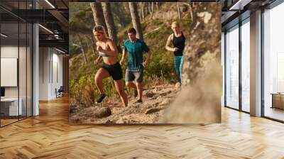 Young people running cross country Wall mural