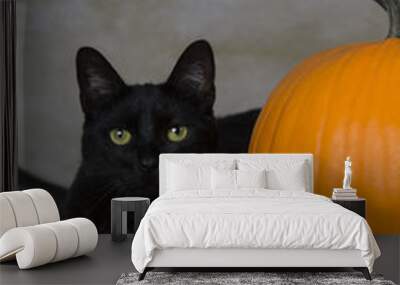 Back cat as a symbol of Halloween with orange pumpkin Wall mural