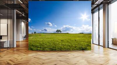 beautiful landscape with a lone tree, clouds and blue sky, version with natural colors Wall mural