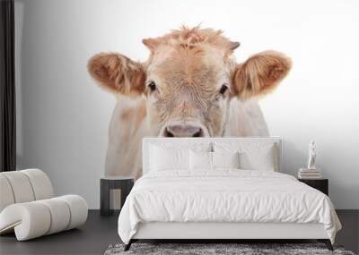 a cow portrait on a white background Wall mural