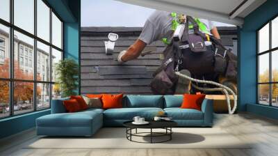 roof repair construction worker roofer man roofing security rope Wall mural