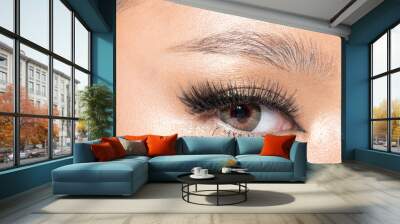 Body Part Eye with Eyelash close up Fashion makeup Wall mural