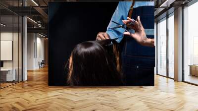 Hairdresser Salon show hand with professional scissor haircut to make beauty to woman client in barber shop. Coiffure comb set style to long hair head and cut work as hairstylist over black background Wall mural