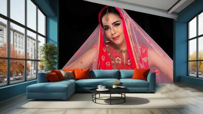 Indian beauty face big eyes with perfect make up wedding bride, Portrait of a beautiful woman in Red Pink traditional Pakistani bridal costume with heavy jewellery and makeup, collage group pack Wall mural