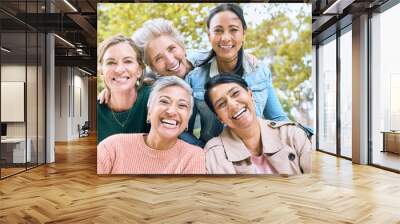 Smile, park and portrait of group of women enjoying bonding, quality time and relax in nature together. Diversity, friendship and faces of happy senior females with calm, wellness and peace outdoors Wall mural