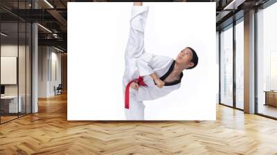 Master Red Belt Kid TaeKwonDo show basic step of fighting pose, Asian Teenager boy black hair tanned skin exercise warm up in white uniform bare foots, studio lighting white background copy space Wall mural