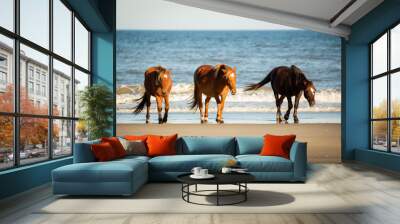 Three wild horses walking on the beach in Corolla North Carolina Wall mural