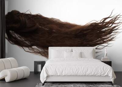 Wind blow Long straight Wig hair style fly fall. Brown wavy woman wig hair float in mid air. Straight brown black wig hair wind blow cloud throw. White background isolated detail motion Wall mural