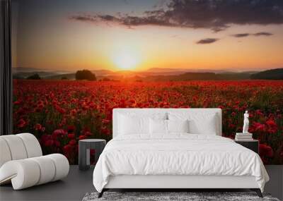 a field full of red flowers with the sun setting in the middle of the sky in the middle of the day Wall mural