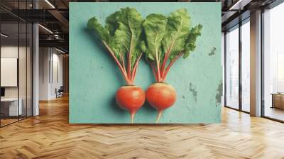 Fresh Radishes with Green Leaves on a Teal Background Wall mural