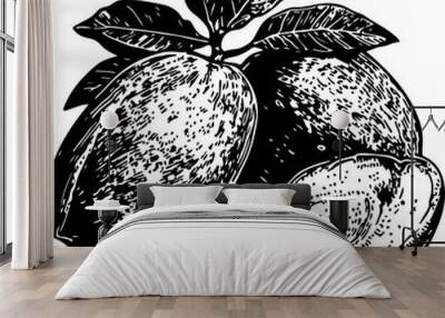 Illustration of Almonds with Leaves and Split Shell Wall mural