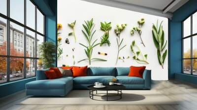 collection of medicinal plants, herbs and flowers. botanical assortment for homeopathy. concept of n Wall mural