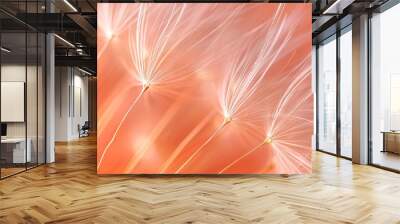 Dandelion fluff with trendy pastel Peach color. Abstract background. Concepts of delicate fashionable backdrop, dandelion seeds, calmness Wall mural