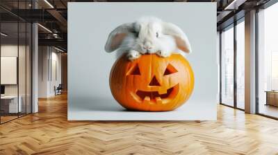 White rabbit peeking out of carved pumpkin for Halloween. Concept of cute animals, holiday decorations, autumn, festive symbols Wall mural